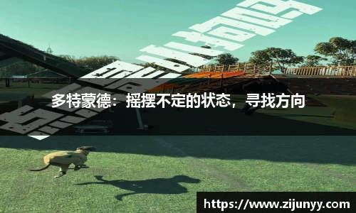 多特蒙德：摇摆不定的状态，寻找方向